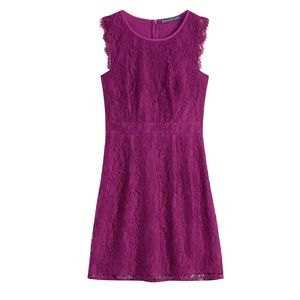 Medina stretch lace dress in purple